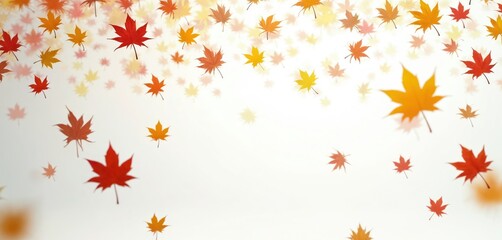 Autumn maple leaves fall dynamically from sky. Red yellow orange foliage drifts down. Seasonal nature decor for website design. Use for fall backdrop.