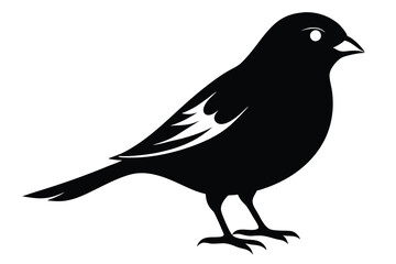 canary silhouette line art vector illustration with a white background