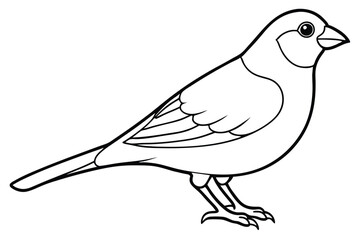 canary silhouette line art vector illustration with a white background