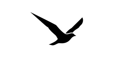Silhouette of a bird in flight
