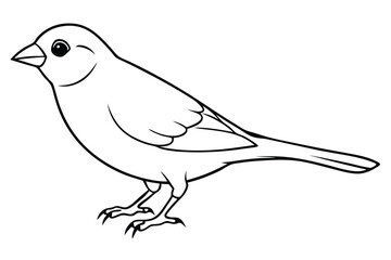 canary silhouette line art vector illustration with a white background