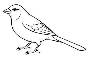 canary silhouette line art vector illustration with a white background