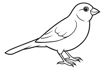 canary silhouette line art vector illustration with a white background
