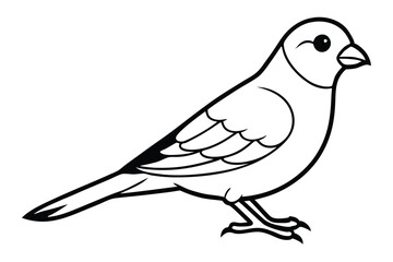canary silhouette line art vector illustration with a white background