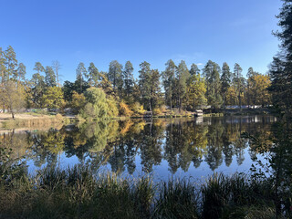 Autumn Reflections on a Forest Lake, Ukraine Kyiv Region Voditsa Forest