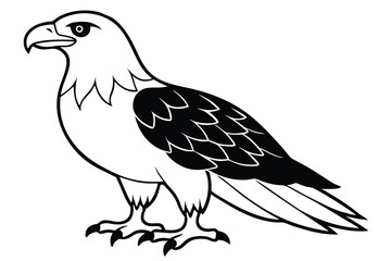 Obraz premium eagle silhouette line art vector illustration with a white background