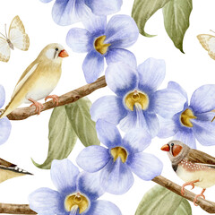 Watercolor songbirds on blooming garden vine flowers seamless pattern on white. Pastel purple blossom of Thunbergia climbing liana plant for spring floral designs with pastel beige butterflies