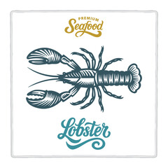 Hand drawn lobster in vintage engraving style with premium seafood and lobster lettering. Classic design for seafood branding themes. Perfect for menus, labels, and packaging. Part of set.