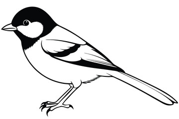 chickadee silhouette line art vector illustration with a white background
