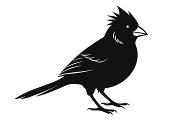Obraz premium cardinal silhouette line art vector illustration with a white background