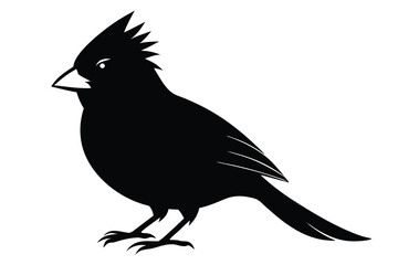 Obraz premium cardinal silhouette line art vector illustration with a white background