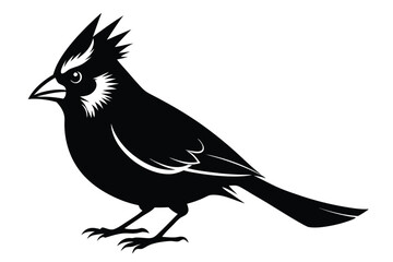 Obraz premium cardinal silhouette line art vector illustration with a white background