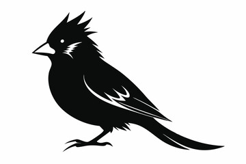 Obraz premium cardinal silhouette line art vector illustration with a white background