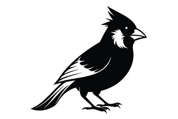 cardinal silhouette line art vector illustration with a white background