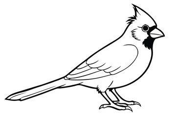 Obraz premium cardinal silhouette line art vector illustration with a white background