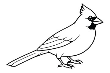 Obraz premium cardinal silhouette line art vector illustration with a white background