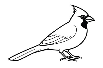 Obraz premium cardinal silhouette line art vector illustration with a white background
