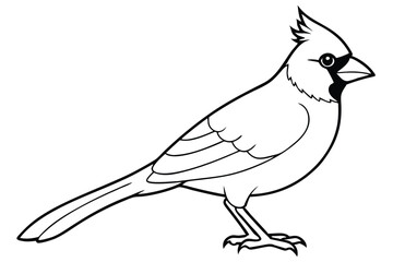 Obraz premium cardinal silhouette line art vector illustration with a white background