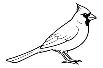 Obraz premium cardinal silhouette line art vector illustration with a white background
