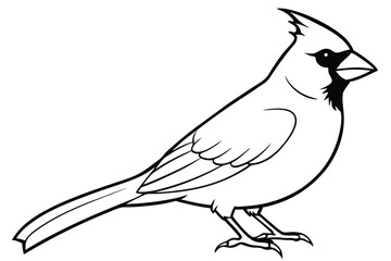 Obraz premium cardinal silhouette line art vector illustration with a white background