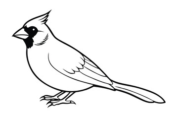 Obraz premium cardinal silhouette line art vector illustration with a white background