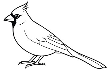 Obraz premium cardinal silhouette line art vector illustration with a white background