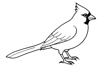 Obraz premium cardinal silhouette line art vector illustration with a white background