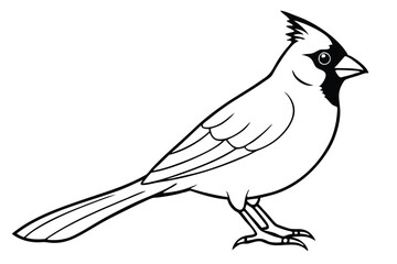 Obraz premium cardinal silhouette line art vector illustration with a white background