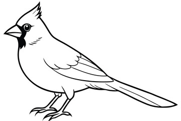 Obraz premium cardinal silhouette line art vector illustration with a white background