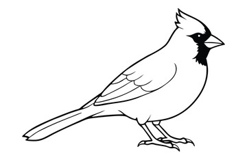 Obraz premium cardinal silhouette line art vector illustration with a white background