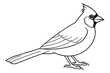 Obraz premium cardinal silhouette line art vector illustration with a white background