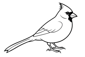 Obraz premium cardinal silhouette line art vector illustration with a white background