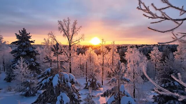 Winter Wonderland - A Snowy Landscape at Sunrise.