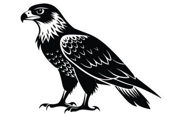 buzzard silhouette line art vector illustration with a white background
