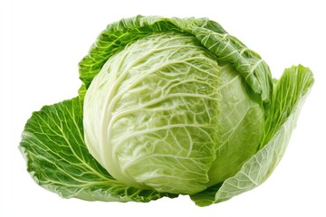 Fototapeta premium Isolated Green Cabbage on White Background in Simple Style for Culinary and Health Related Projects