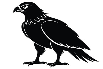 buzzard silhouette line art vector illustration with a white background