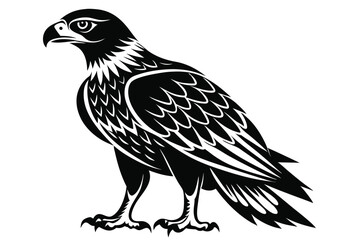 buzzard silhouette line art vector illustration with a white background
