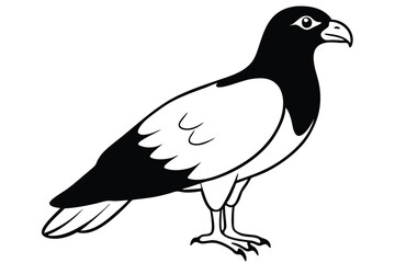 buzzard silhouette line art vector illustration with a white background