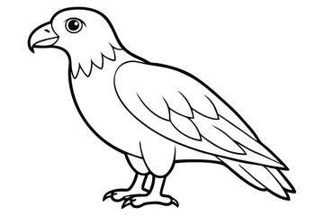 buzzard silhouette line art vector illustration with a white background