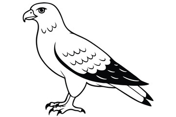 buzzard silhouette line art vector illustration with a white background