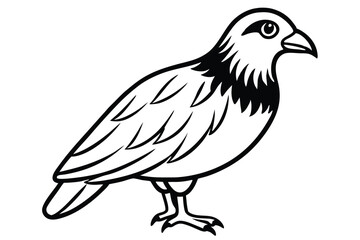 buzzard silhouette line art vector illustration with a white background