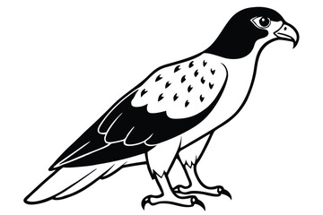 buzzard silhouette line art vector illustration with a white background