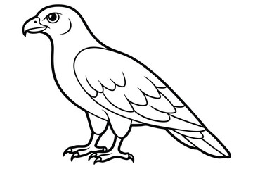 buzzard silhouette line art vector illustration with a white background