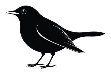 Obraz premium blackbird silhouette line art vector illustration with a white background