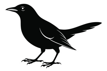 Obraz premium blackbird silhouette line art vector illustration with a white background