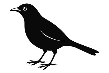 blackbird silhouette line art vector illustration with a white background