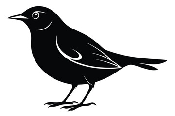 Obraz premium blackbird silhouette line art vector illustration with a white background