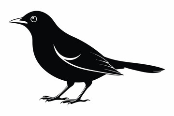 Obraz premium blackbird silhouette line art vector illustration with a white background