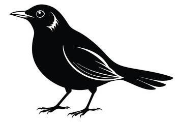 Obraz premium blackbird silhouette line art vector illustration with a white background