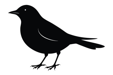 Obraz premium blackbird silhouette line art vector illustration with a white background